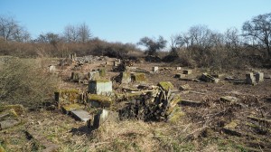 15 Březnové brigády na hřbitově ve Svatoboru     